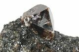 Fluorescent Zircon Crystals in Biotite Schist - Norway #228207-2